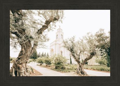 Feather River California Serenity