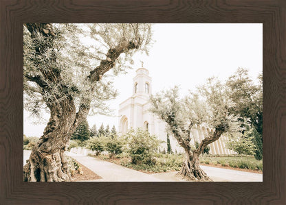 Feather River California Serenity