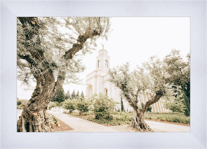 Feather River California Serenity