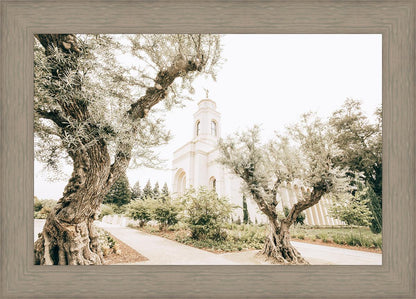 Feather River California Serenity