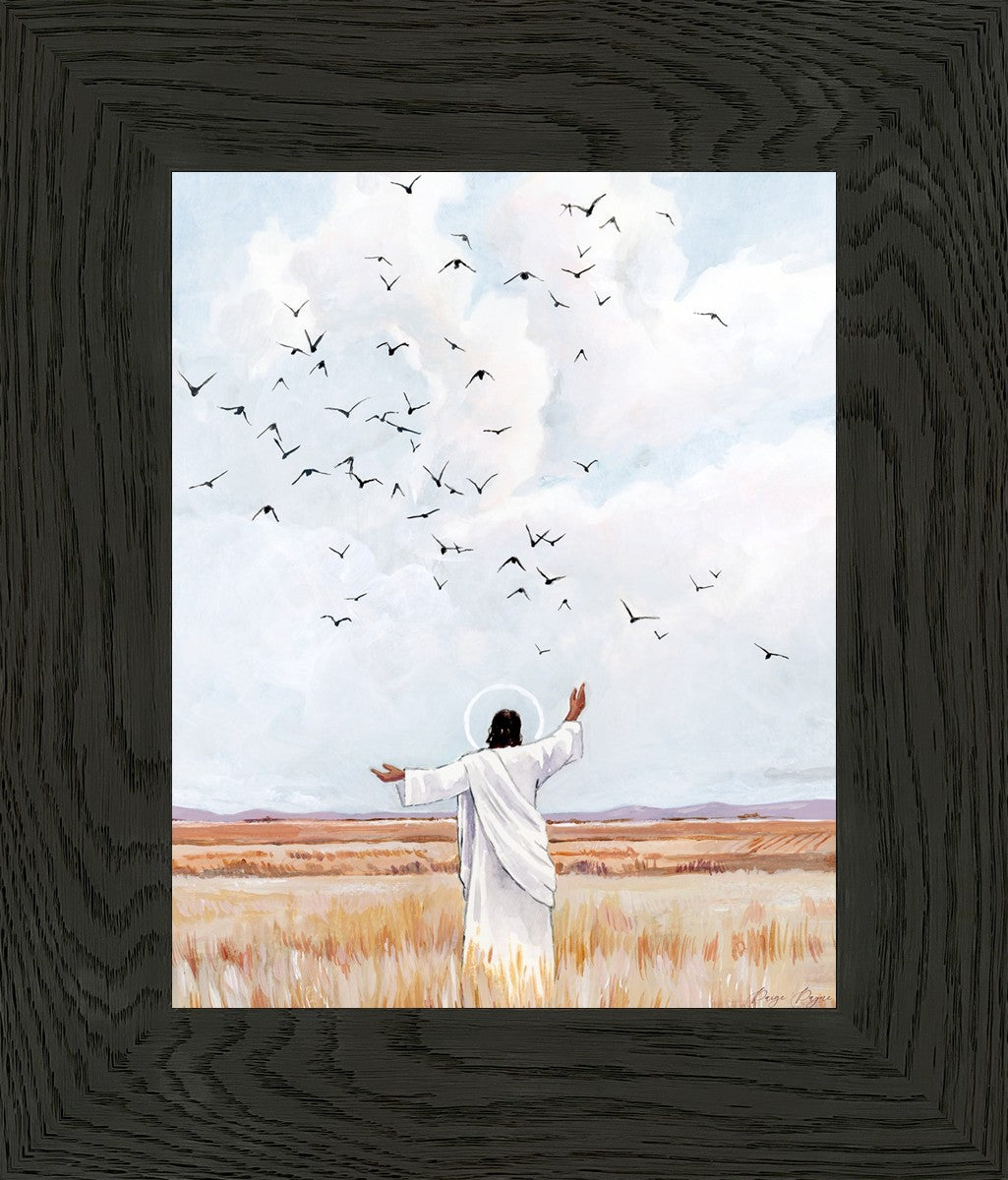 Consider The Birds in The Sky