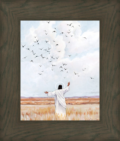 Consider The Birds in The Sky