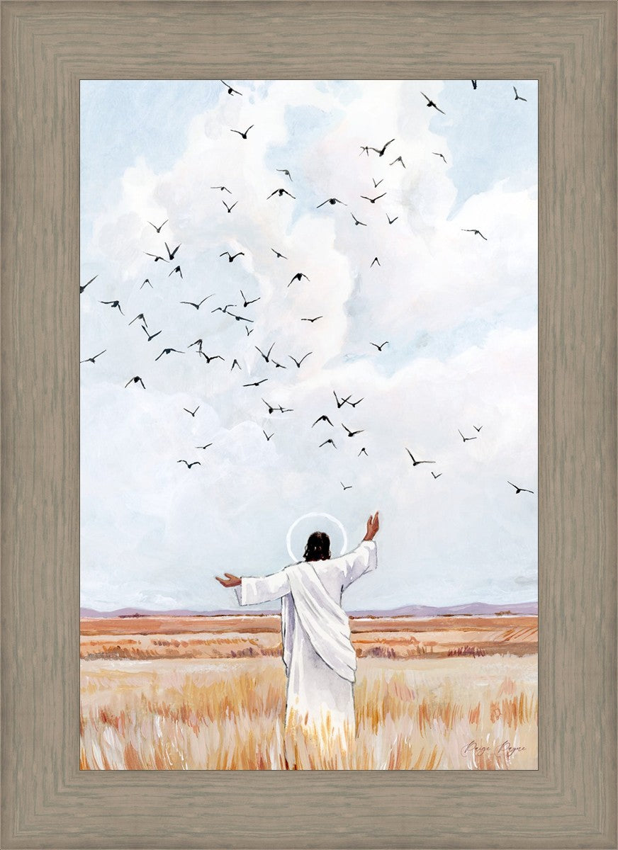 Consider The Birds in The Sky