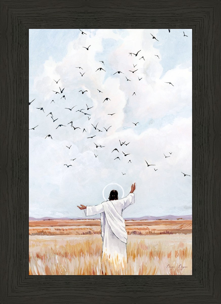 Consider The Birds in The Sky