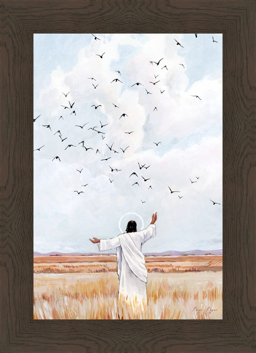 Consider The Birds in The Sky