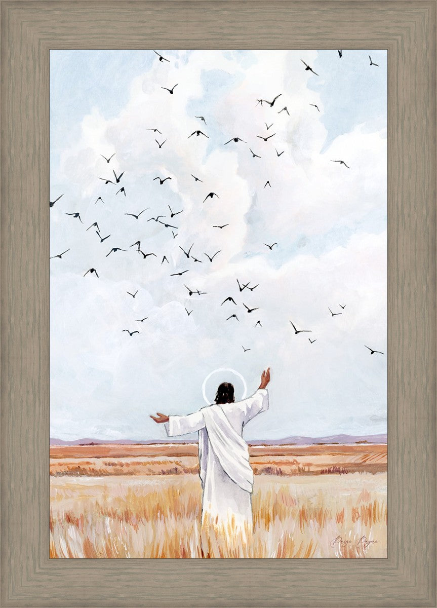 Consider The Birds in The Sky