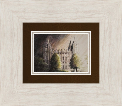 Abide The Day - Salt Lake Temple