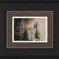 Abide The Day - Salt Lake Temple