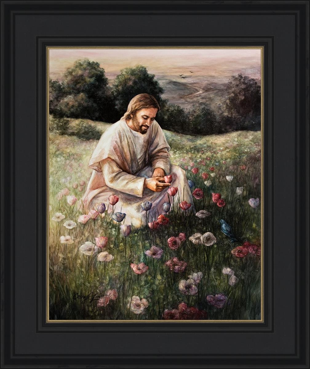 Lilies Of The Field