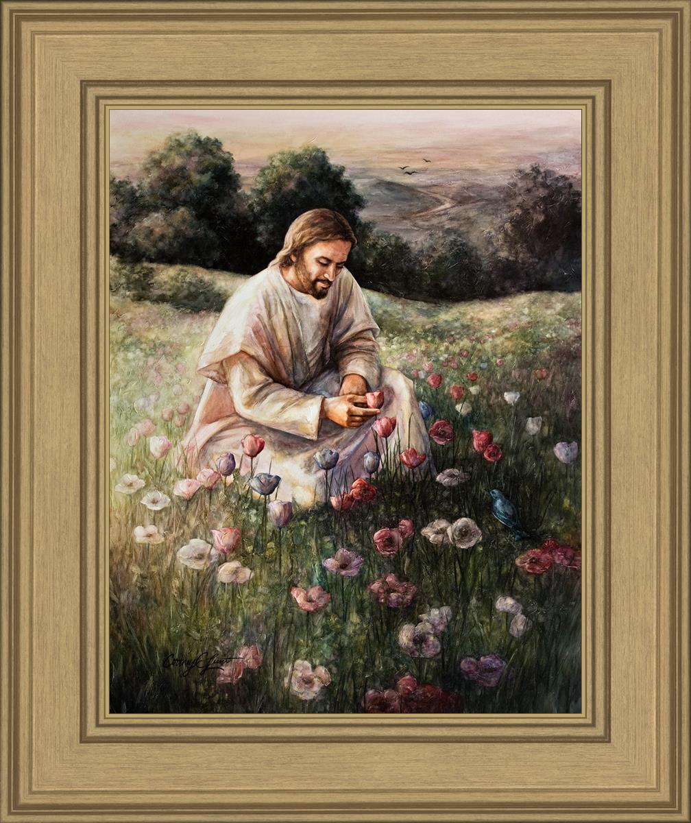 Lilies Of The Field