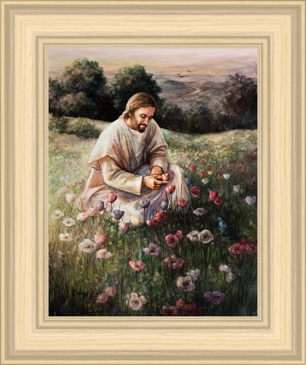Lilies Of The Field