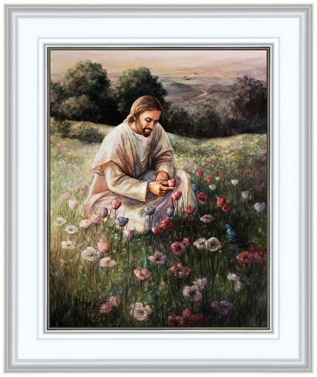 Lilies Of The Field