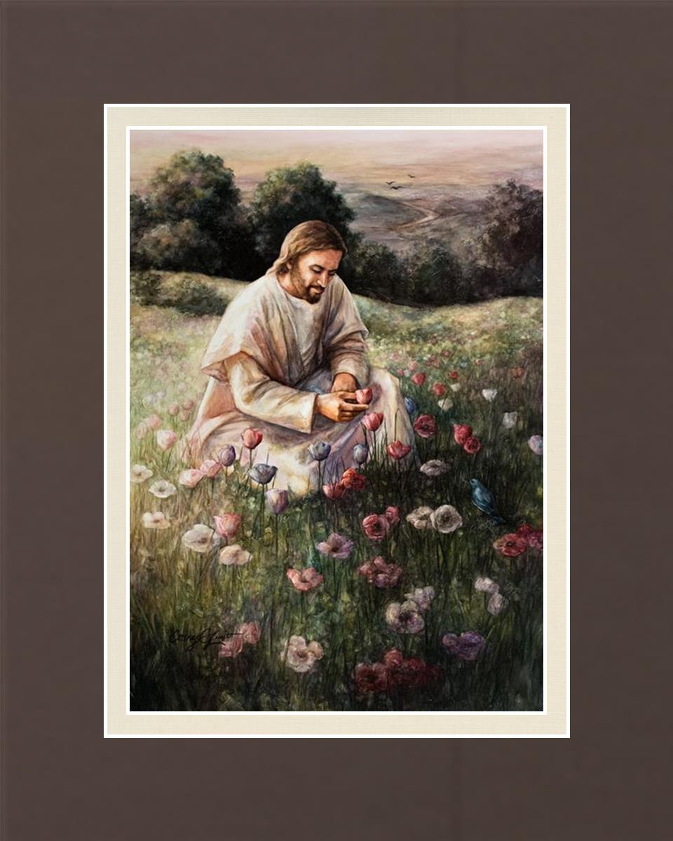Lilies Of The Field