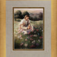 Lilies Of The Field