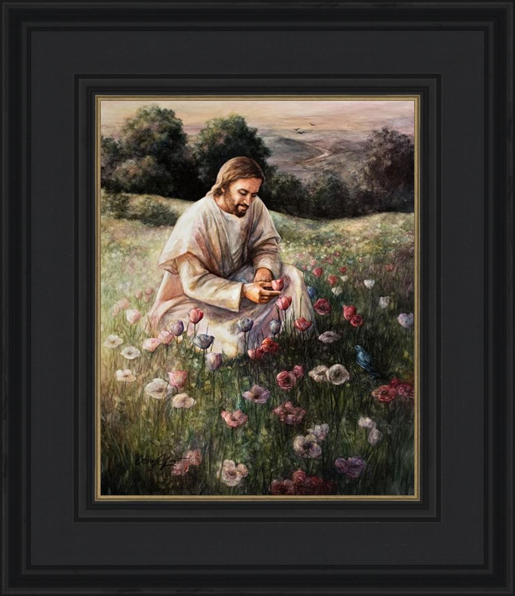Lilies Of The Field