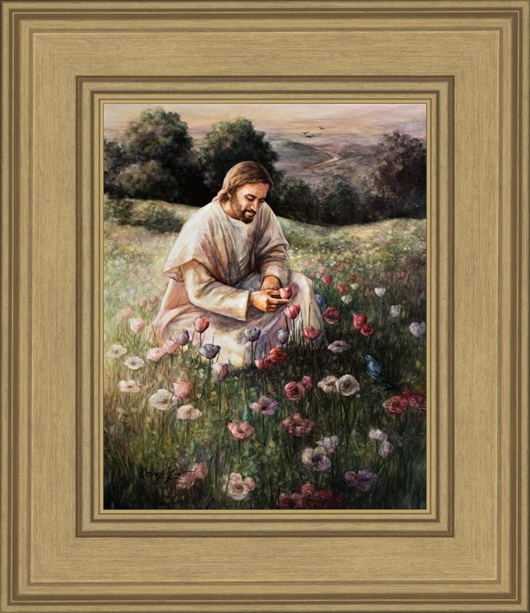 Lilies Of The Field