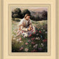 Lilies Of The Field