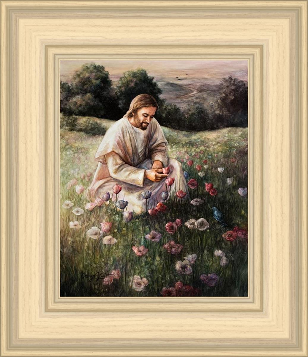 Lilies Of The Field
