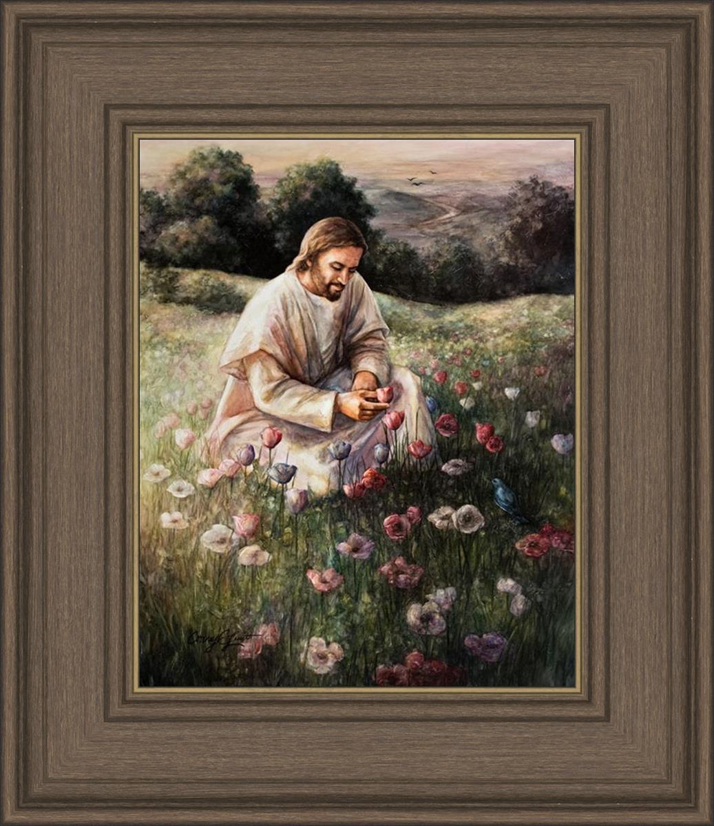 Lilies Of The Field