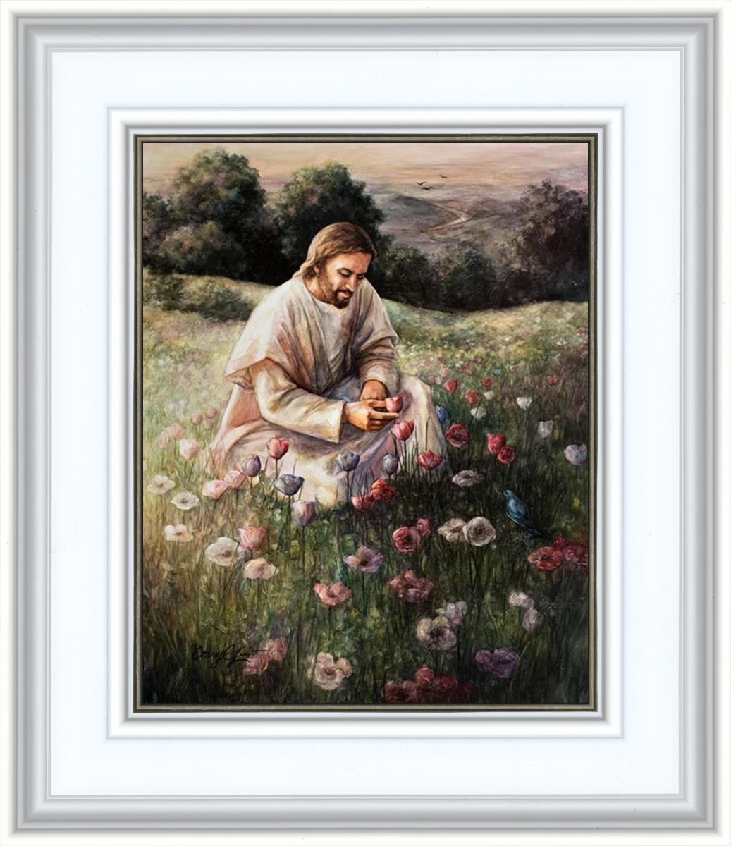 Lilies Of The Field