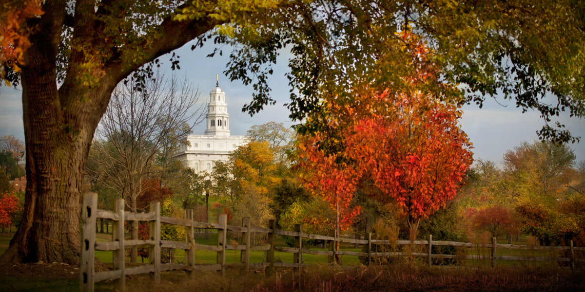 Nauvoo Illinois Temple Pictures & Art