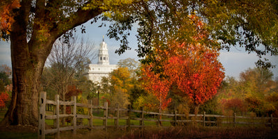 Nauvoo Illinois Temple Pictures & Art