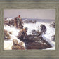 Martin Handcart Burial