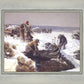 Martin Handcart Burial