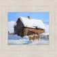 Wild Wooley Wyoming Winter