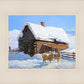 Wild Wooley Wyoming Winter
