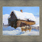Wild Wooley Wyoming Winter