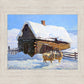 Wild Wooley Wyoming Winter
