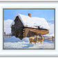 Wild Wooley Wyoming Winter