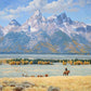 In Old Jackson Hole