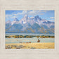 In Old Jackson Hole