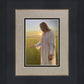 Light of The Son