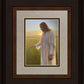 Light of The Son