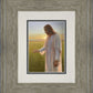 Light of The Son