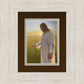 Light of The Son