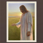 Light of The Son