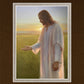 Light of The Son
