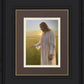 Light of The Son