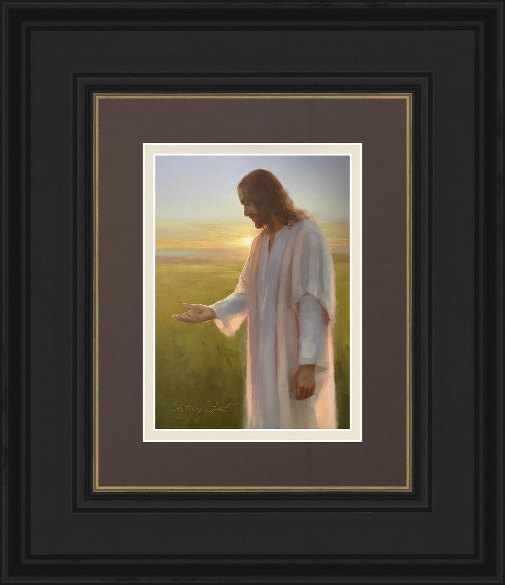 Light of The Son