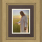 Light of The Son
