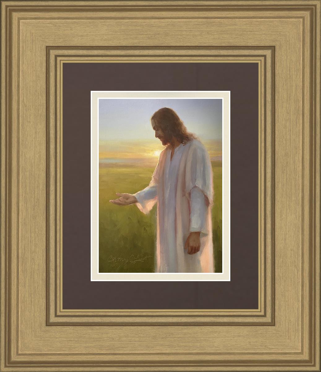 Light of The Son