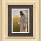 Light of The Son