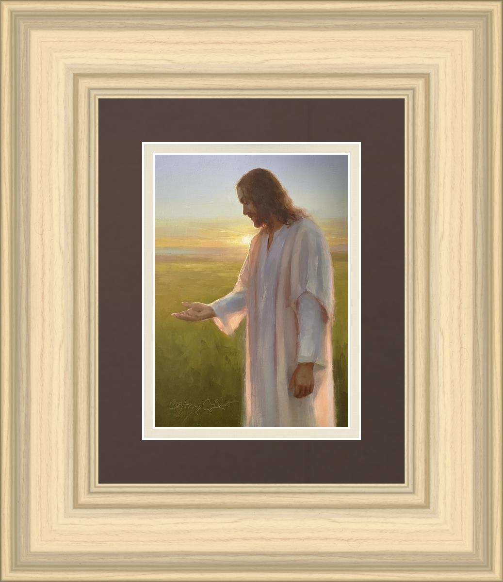 Light of The Son