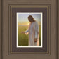 Light of The Son