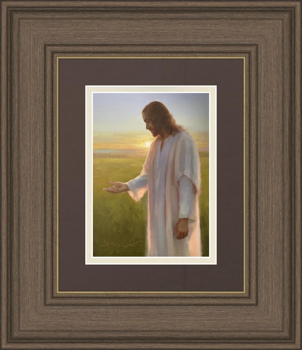 Light of The Son