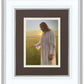 Light of The Son